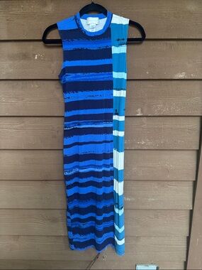 Corey Lynn Calter Blue Striped Sleeveless Maxi Dress size XS
